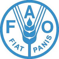 антибиотест фао