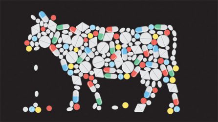 antibiotest blog 26
