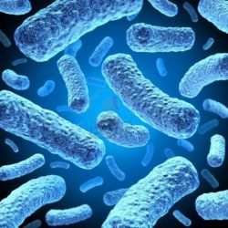 antibiotest 30