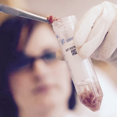 antibiotest_74
