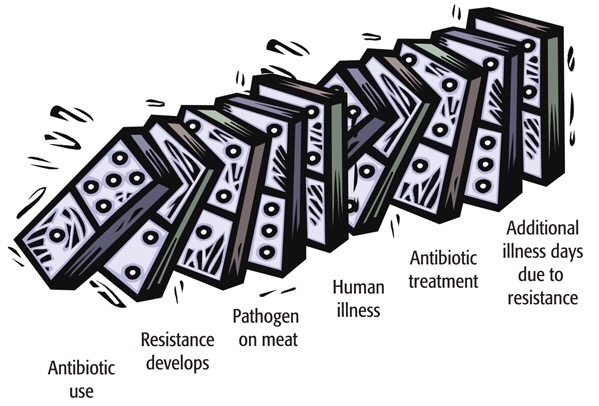 antibiotest_77