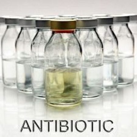 Срочная необходимость борьбы с чрезмерным использованием антибиотиков у животных