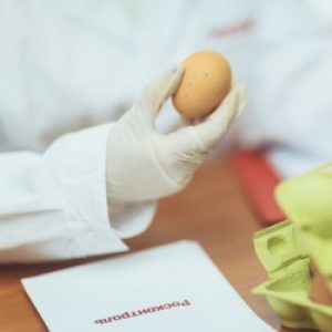 Антибиотики в яйцах-скрытая угроза