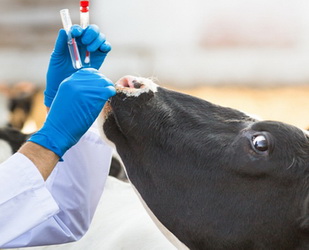 antibiotest_156
