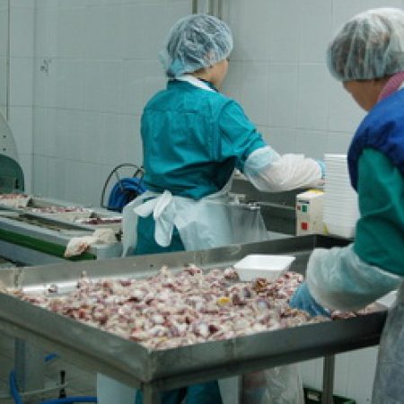 Россельхознадзор ограничил экспорт производителям мяса из-за антибиотиков