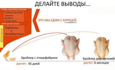аллергия antibiotest_181