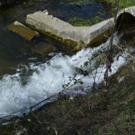 Лекарства в реках повышают риск нарушения экосистем в 20 раз