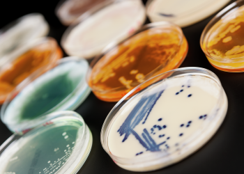 супермикробы antibiotest_218