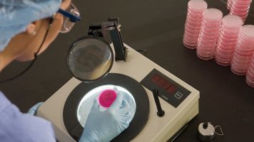 противоречия antibiotest_227