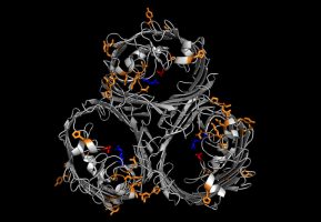 британские ученые antibiotest_229