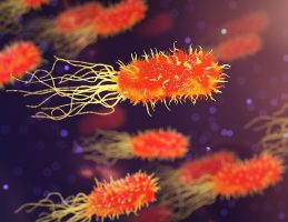 новый механизм устойчивости бактерий к антибиотикам antibiotest_237