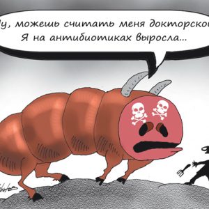 В России собрались ограничить использование антибиотиков