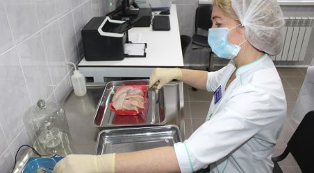 ветлаборатория в старом осколе